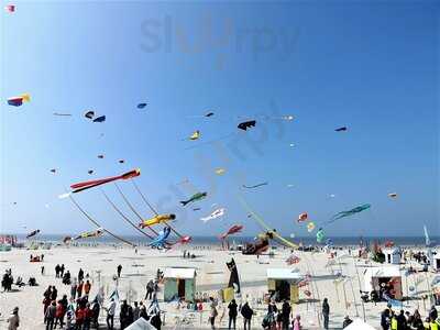 L'Univers, Berck