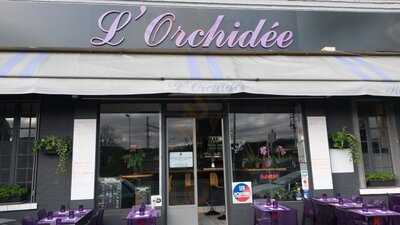 L'orchidee