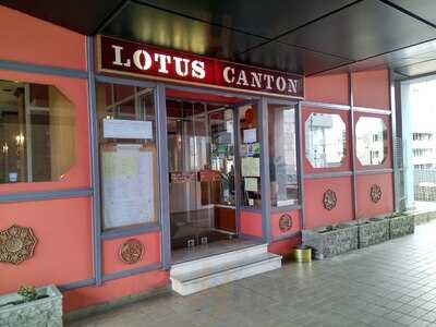 Lotus Canton