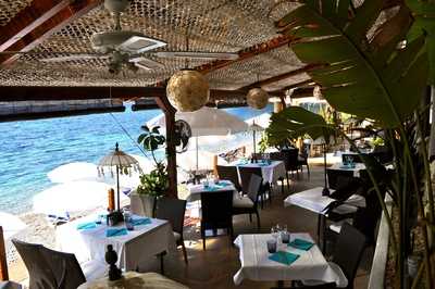 Restaurant Papaya Beach