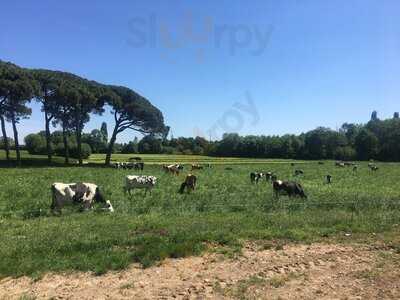 La Ferme l'Hirondelle  , Ribeauvillé