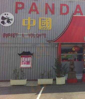 Le Panda De Chine