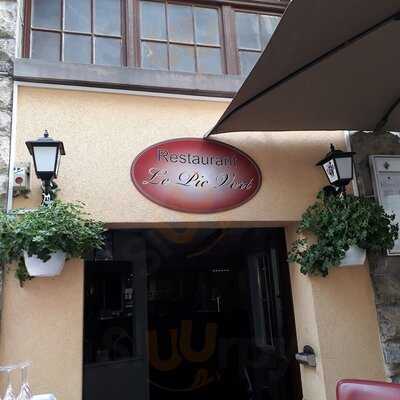 Restaurant Le Pic Vert  , Altkirch