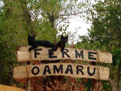 Ferme Oamaru, Les Arcs sur Argens