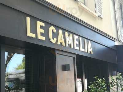 Le Camelia