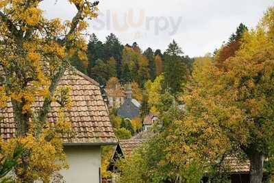 Hôtel - Restaurant Marchal, Le Hohwald