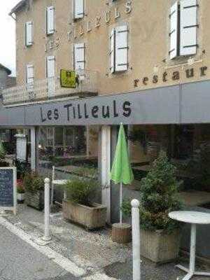 Hôtel-Restaurant Les Tilleuls de Pareloup à Salles-Curan, Salles-Curan