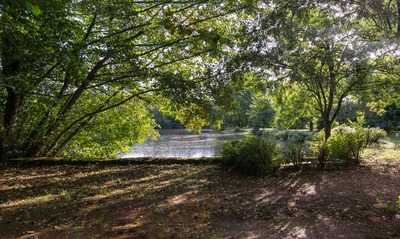 La Rivière au Bord de l'Eau, Le Bois-d'Oingt