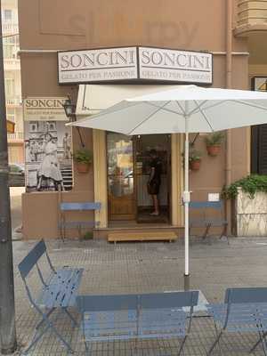 Soncini Gelato Per Passione Dal 1977