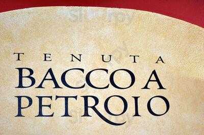 Bacco a Petroio, Vinci