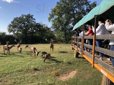 Ferme Auberge Le