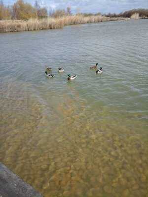 Aire De La Baie De Somme