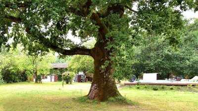 Au Fil Des Landes