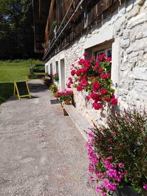 Ferme Auberge Du Tartot menu