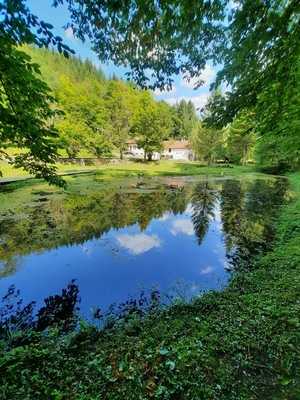 Au Berceau De La Truite menu