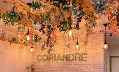 Coriandre