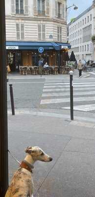 Boulangerie Joel - Les delices de Notre-Dame, Paris