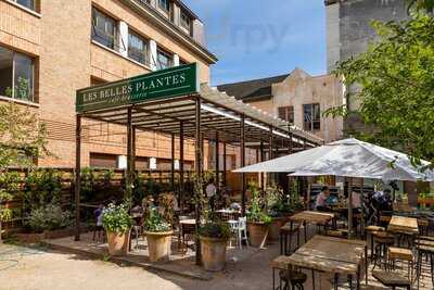 Les Belles Plantes, Paris