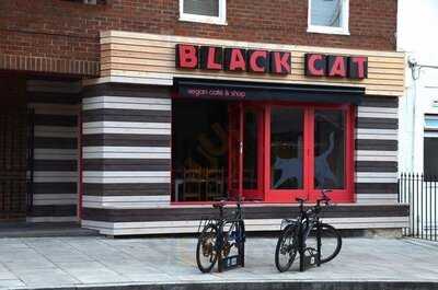 Black Cat Cafe