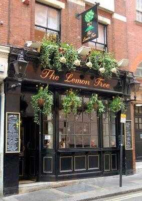 The Lemon Tree