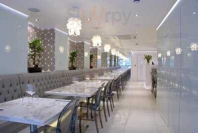 Canton Element Chinese Restaurant