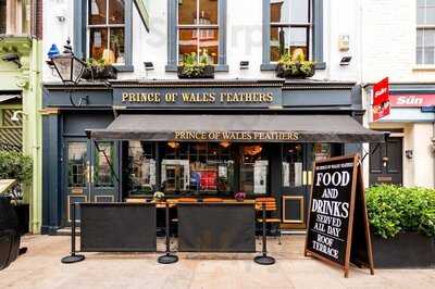 The Prince Of Wales Feathers