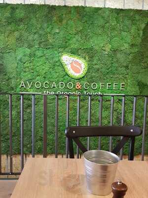 Avocado And Coffee