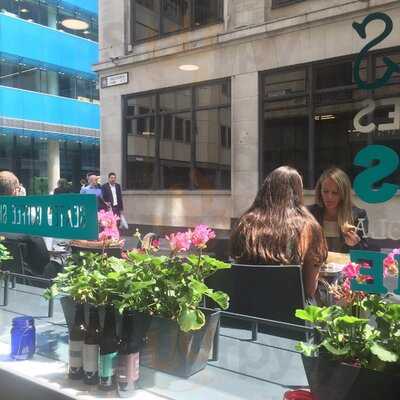 The Secret Frog Coffee Co