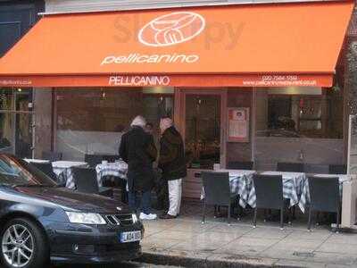 Pellicanino, London