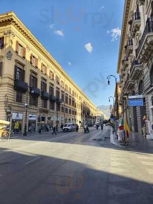 Royal Wine & Coffee, Palermo