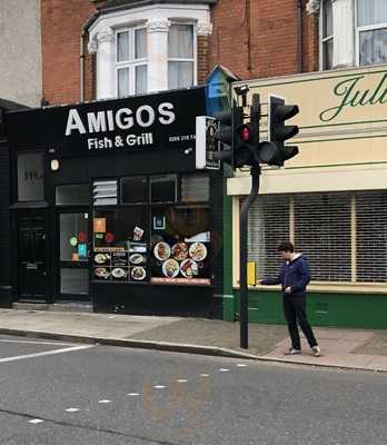 The Lighthouse Fish and Chicks