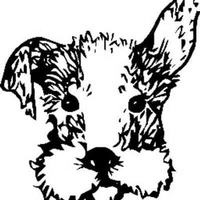 Riley The Ice Cream Cafe