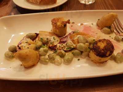 Scott Hanson Limited