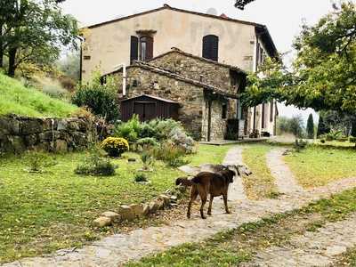 B&B Locanda degli Aromi, Firenze