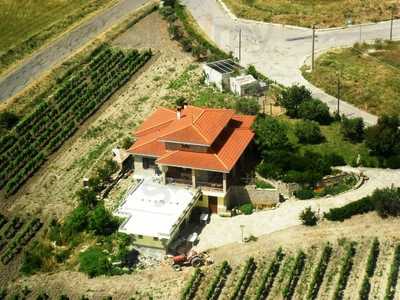 Agriturismo Le Vigne Ducali