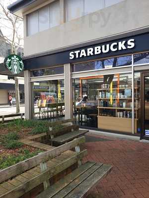 Starbucks Ward Street Hamilton