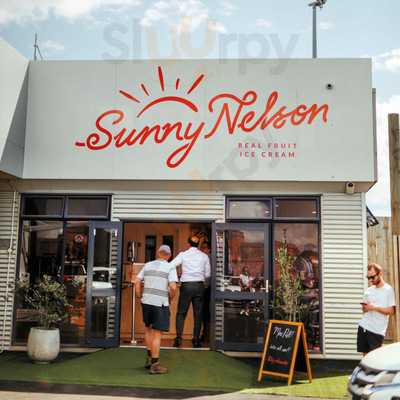 Sunny Nelson Real Fruit Icecream