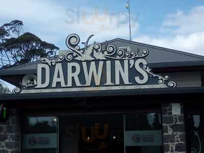 Darwin's Cafe