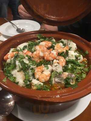 Salpica
