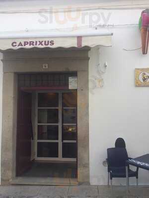 Caprixus