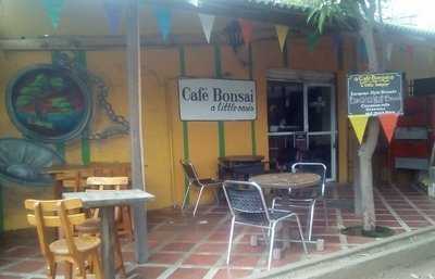 Cafe Bonsai