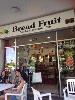 Bread Fruit