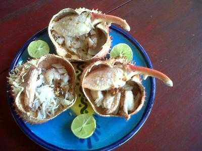 Restaurante Puntanorte