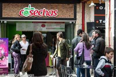 Cosechas Santa Bárbara
