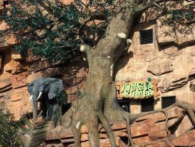 Jungla Kumba