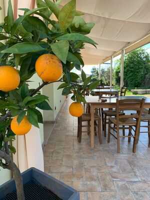 Agriturismo Da Mamma Francesca