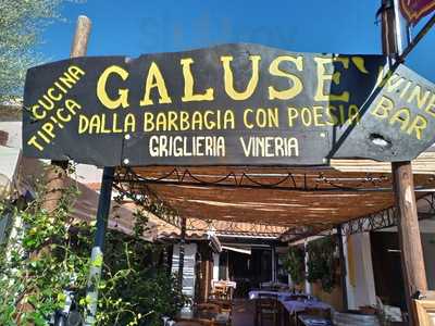 Galusè