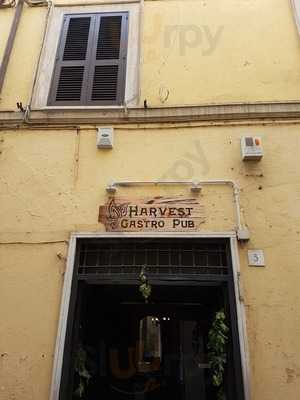 Harvest Gastro Pub, Velletri