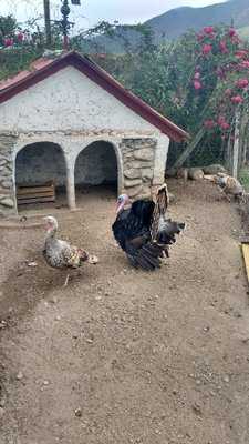 La Galeria, En Villa Rural De San Miguel De La Loma