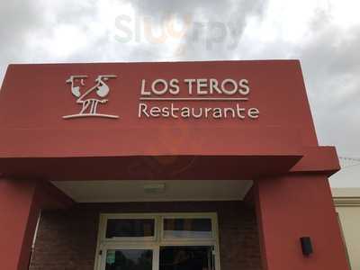 Los Teros